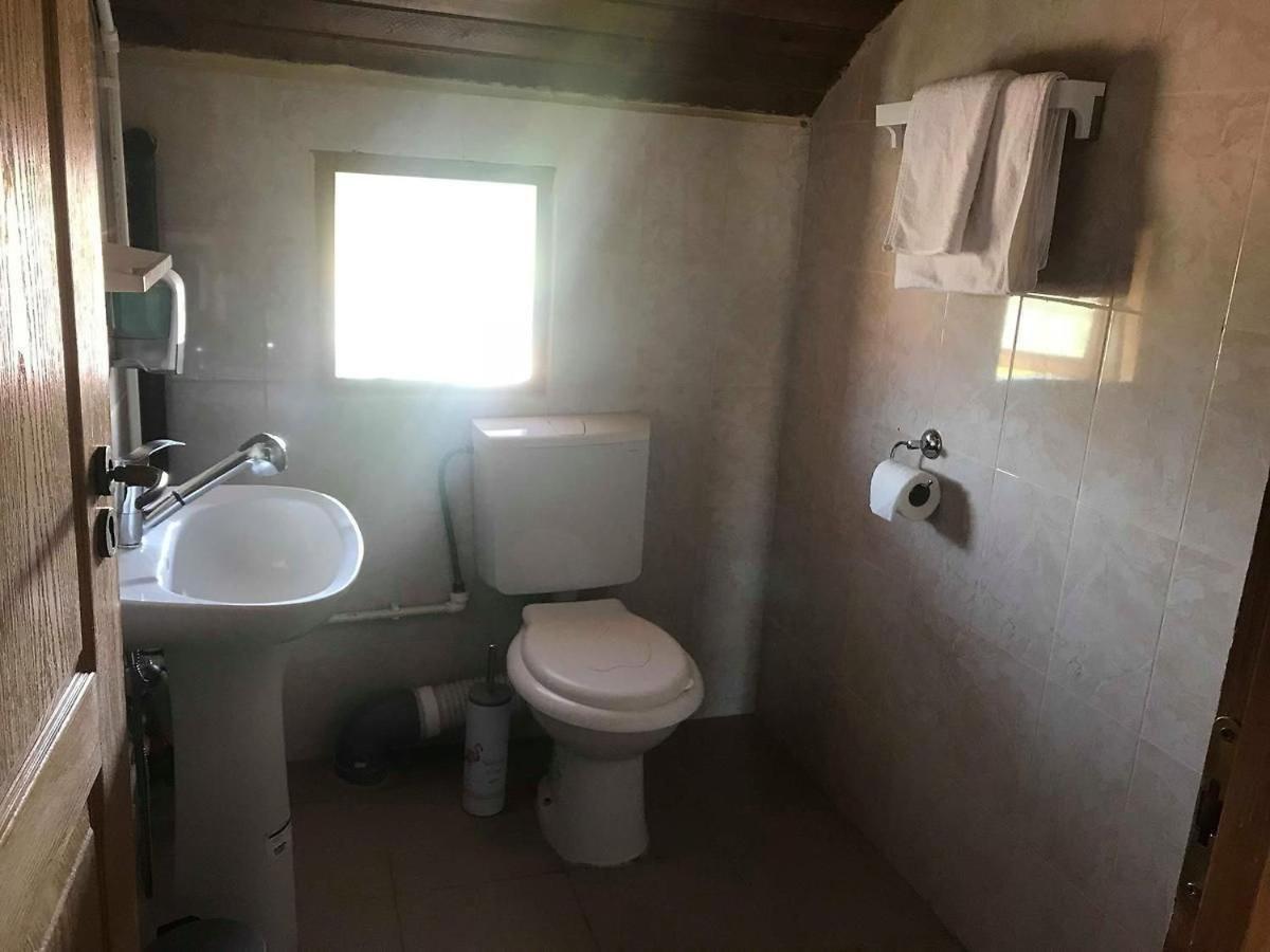 Hostel Flamingo Costinesti Zewnętrze zdjęcie